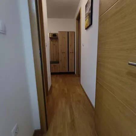 D ,with Garage Apartment